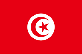 flag13