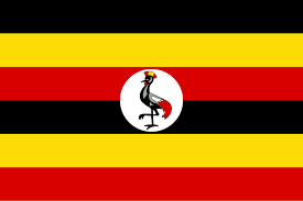 flag9